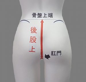 「後股上」の測り方